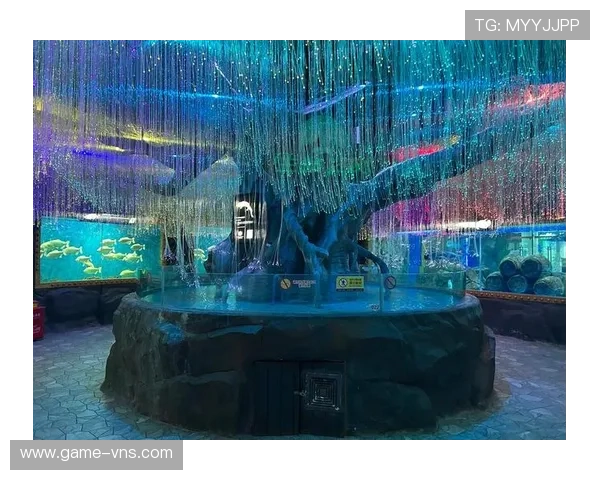 回力海立方与合作赌场的合作历史及合作成果总结 回力海立方与合作赌场的合作历史及合作成果总结