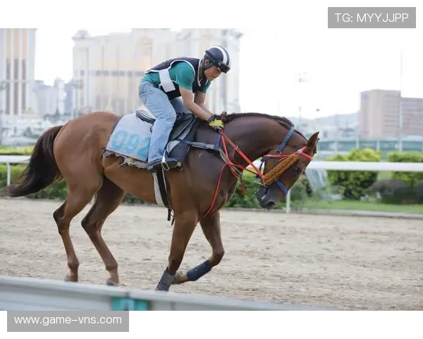 一站式澳门赛马资讯平台提供最权威的赛马比赛结果与赛马新闻