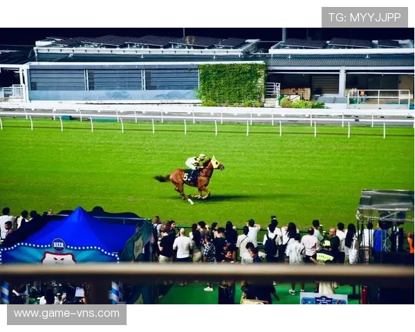 如何快速找到马会投注地址登录入口确保账号安全与顺畅投注体验